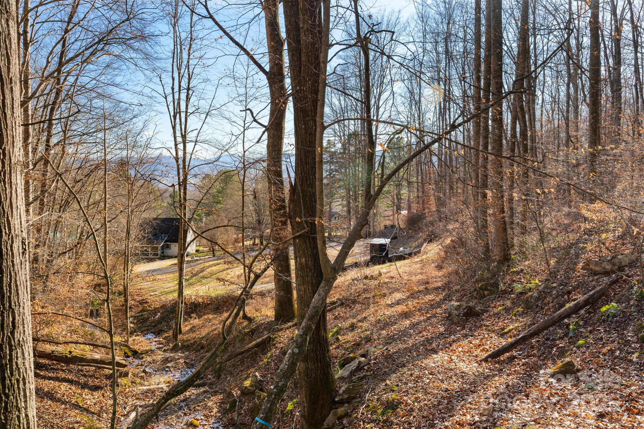 481 Sugar Mountain Road Waynesville, NC 28785 - Photo 8 of 23 a view of a forest filled with trees