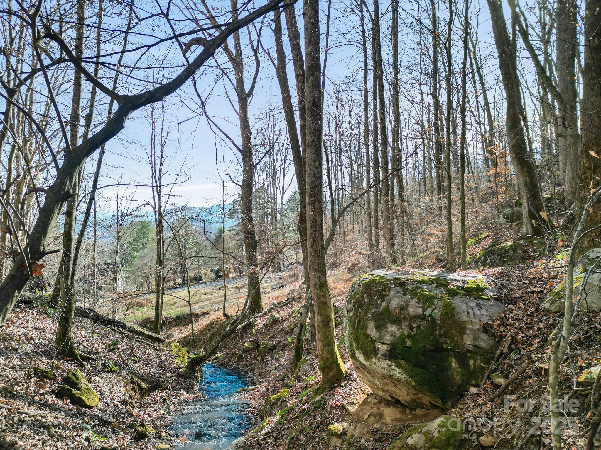 481 Sugar Mountain Road Waynesville, NC 28785 - Photo 9 of 23 a backyard of a house with lots of green space