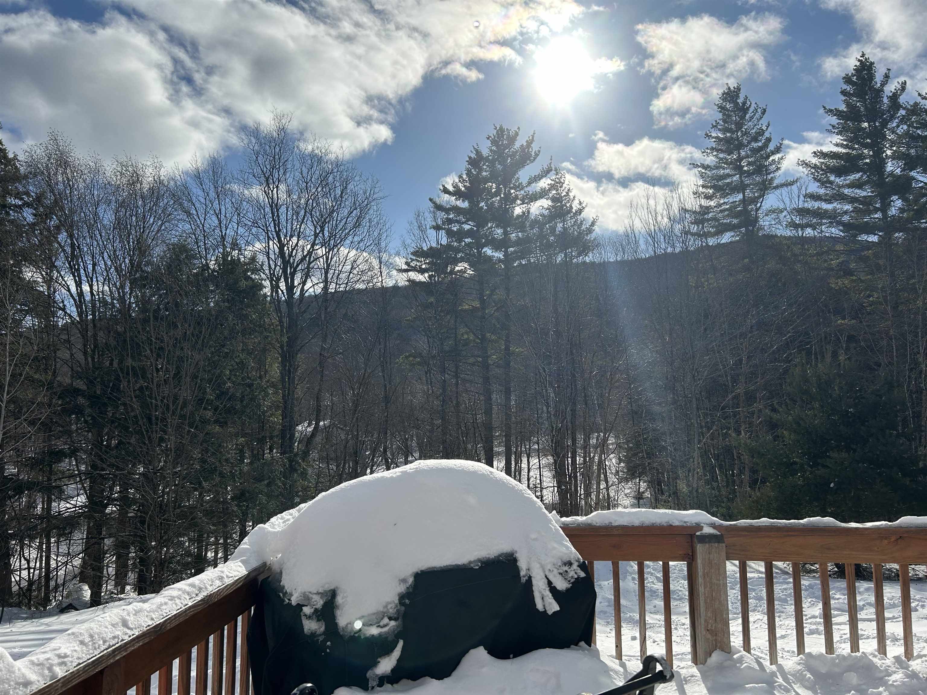 147 Davis Road Plymouth, VT 05149 - Photo 30 of 32