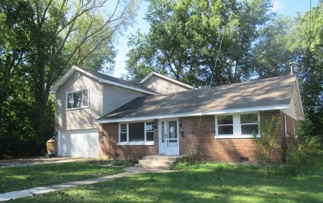 a view of a yard in front of a house with plants and large tree