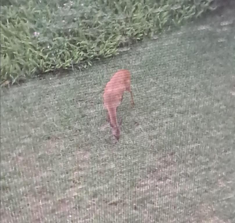 32 Navarra Court St. Augustine, FL 32086 - Photo 47 of 51 a bathroom with a shower