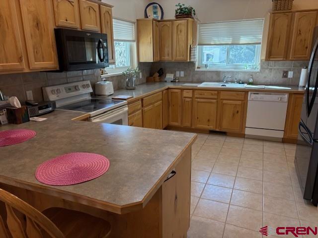 440 Southeast Old Goat Trail Cedaredge, CO 81413 - Photo 7 of 13 a kitchen with a sink a stove top oven a counter space and cabinets