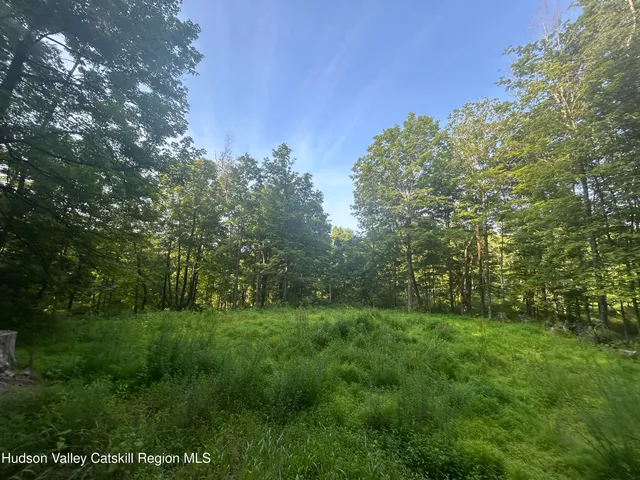 a view of a lush green space