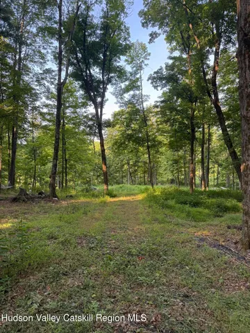 a view of a field with trees