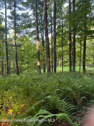 a view of outdoor space and a yard