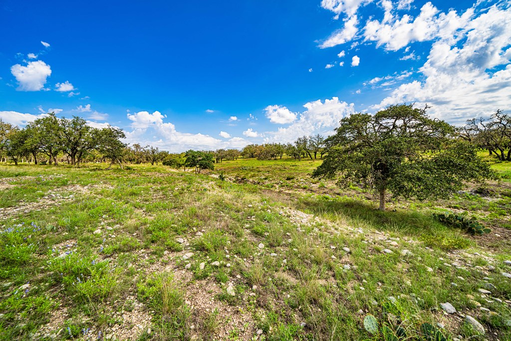 444 Mosel Road, Unit 3 Harper, TX 78631 - Photo 3 of 5 Gallery Image 3