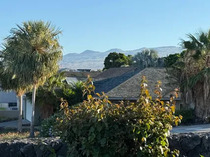 a view of a house with a garden