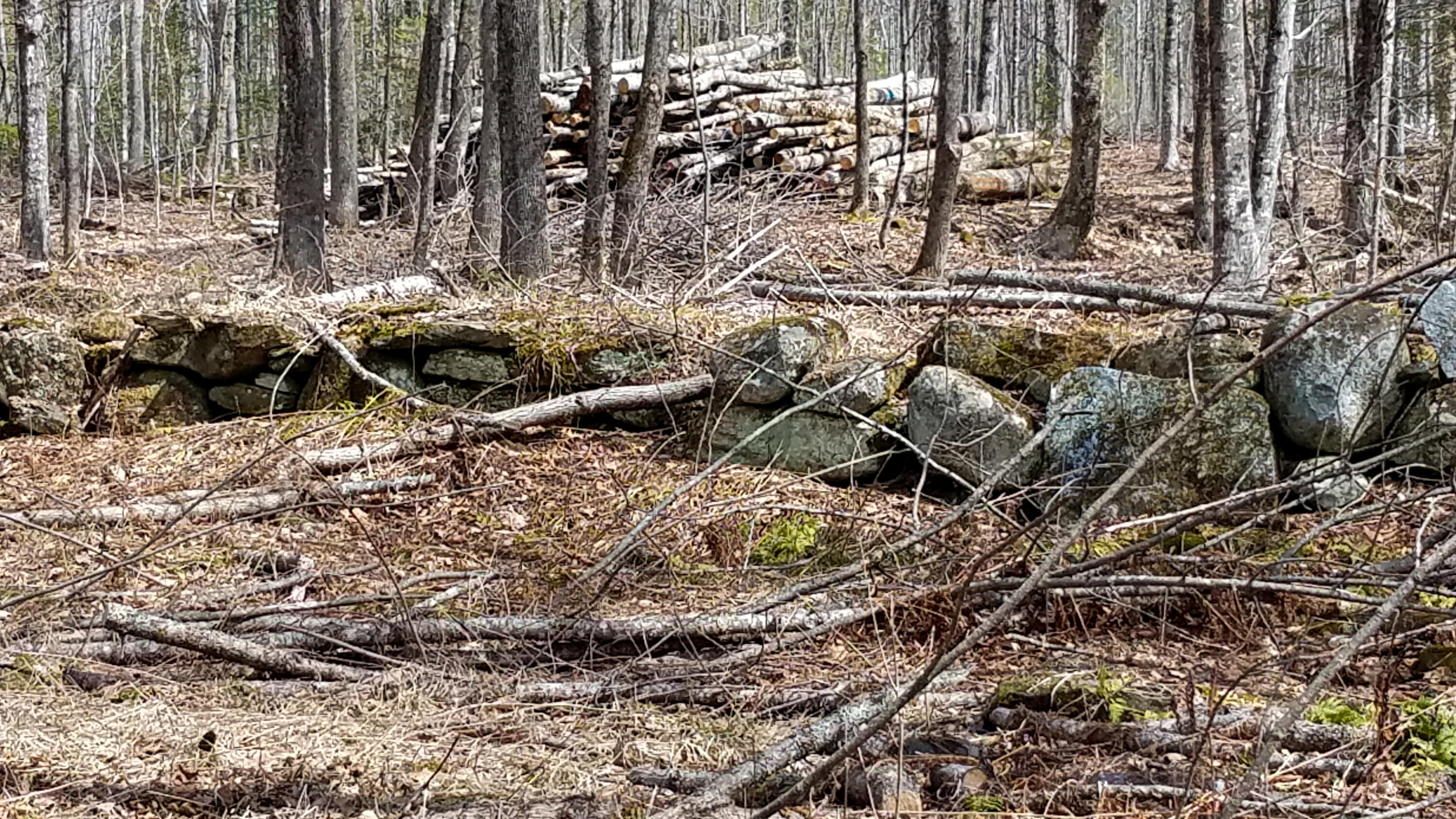 Lot 62 Charleston Road Dexter, ME 04930 - Photo 25 of 28 Lot 62 (21 of 24)