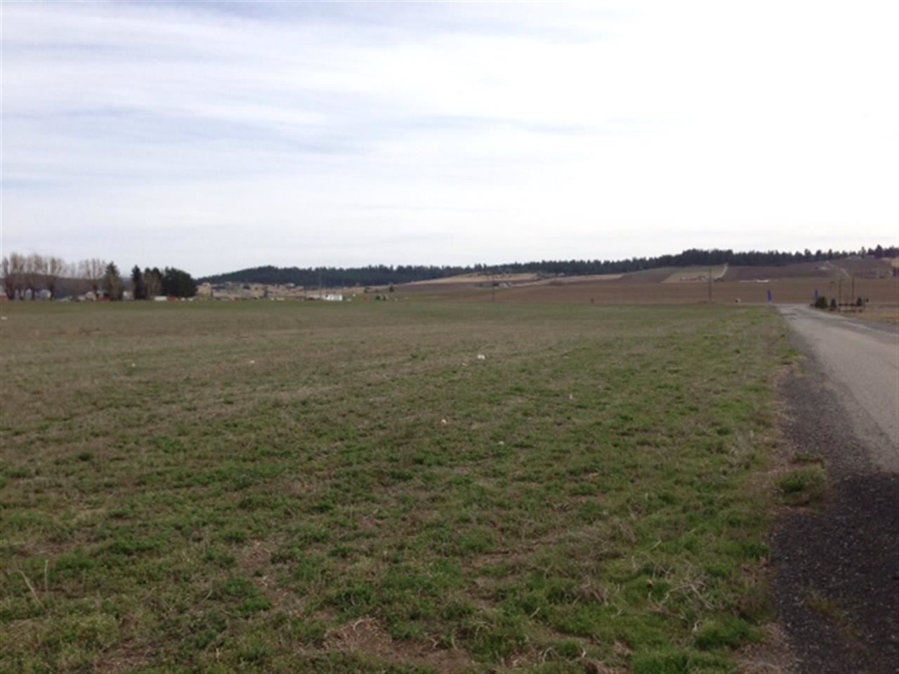 5725 East Peone Road Mead, WA 99021 - Photo 3 of 5