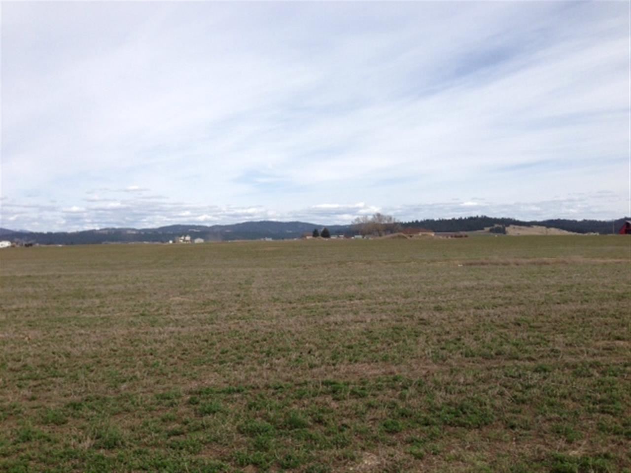 5725 East Peone Road Mead, WA 99021 - Photo 4 of 5