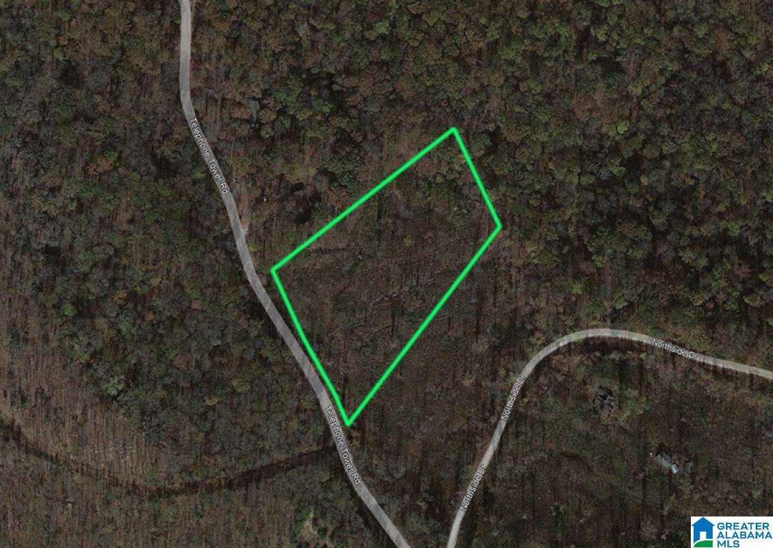 0 Telephone Tower Road Laceys Spring, AL 35754 - Photo 1 of 1 Gallery Image 1