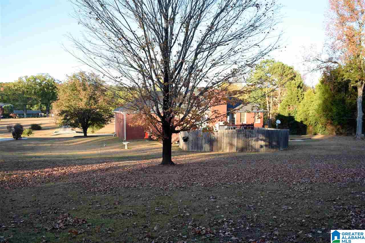7441 Old Springville Road Trussville, AL 35173 - Photo 34 of 50