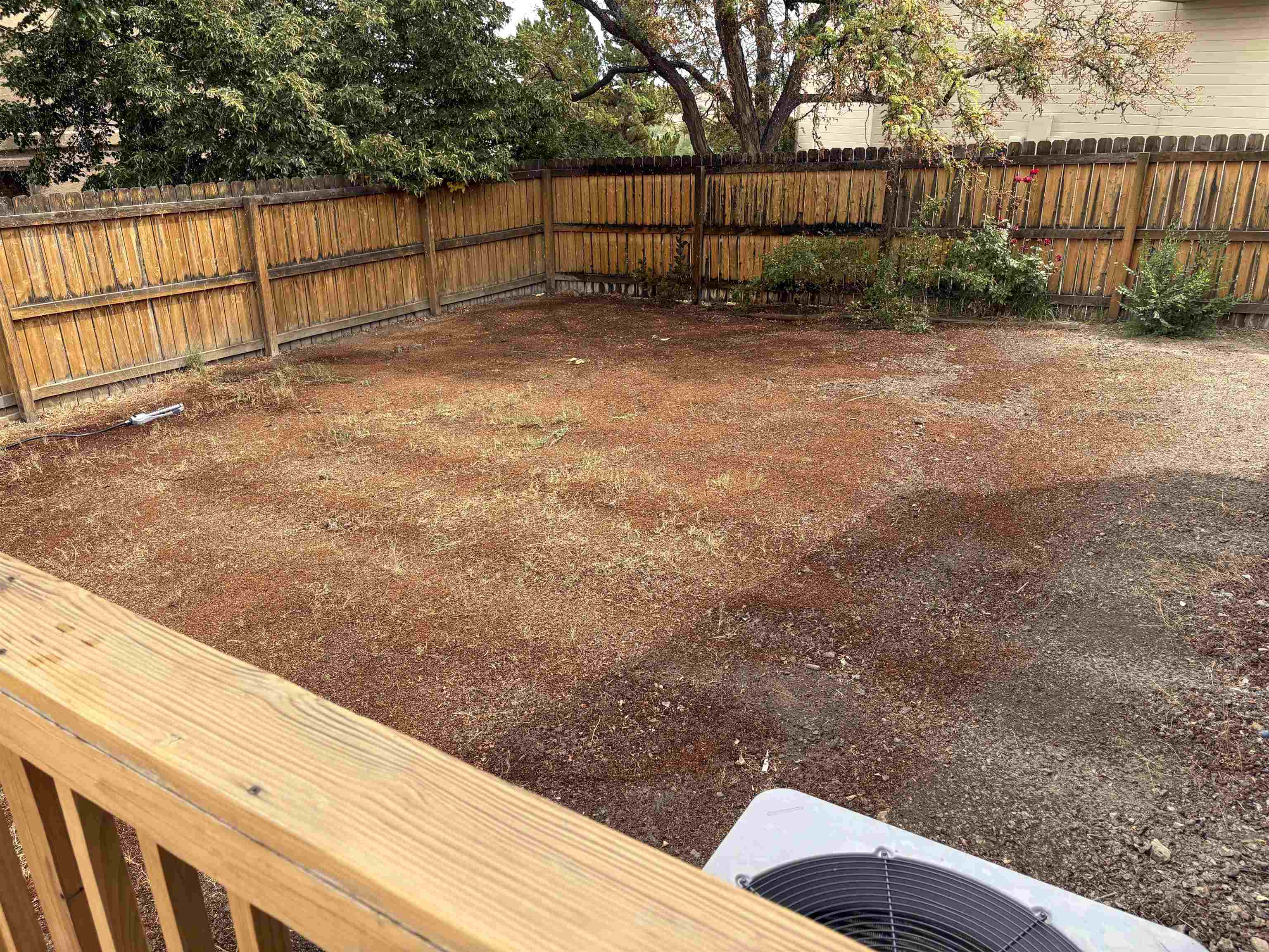 386 Ridge Cir Drive Grand Junction, CO 81507 - Photo 28 of 29 a view of a backyard