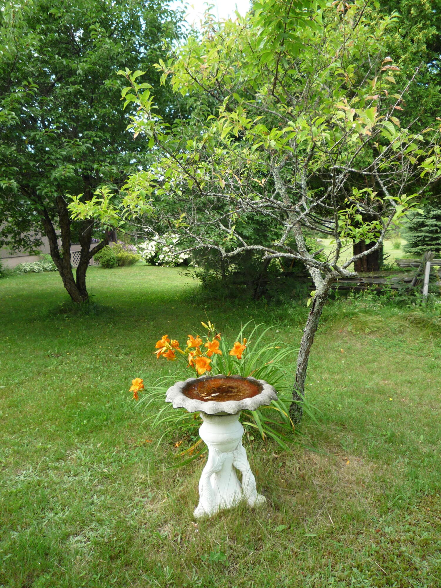 4951 State Rte 3 Saranac, NY 12981 - Photo 68 of 69 Gallery Image 68