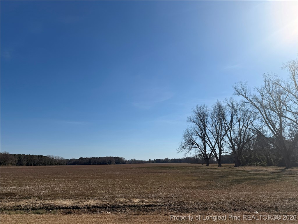 Lot B Pleasant Hope Road Lumberton, NC 28358 - Photo 1 of 3 a view of lake view