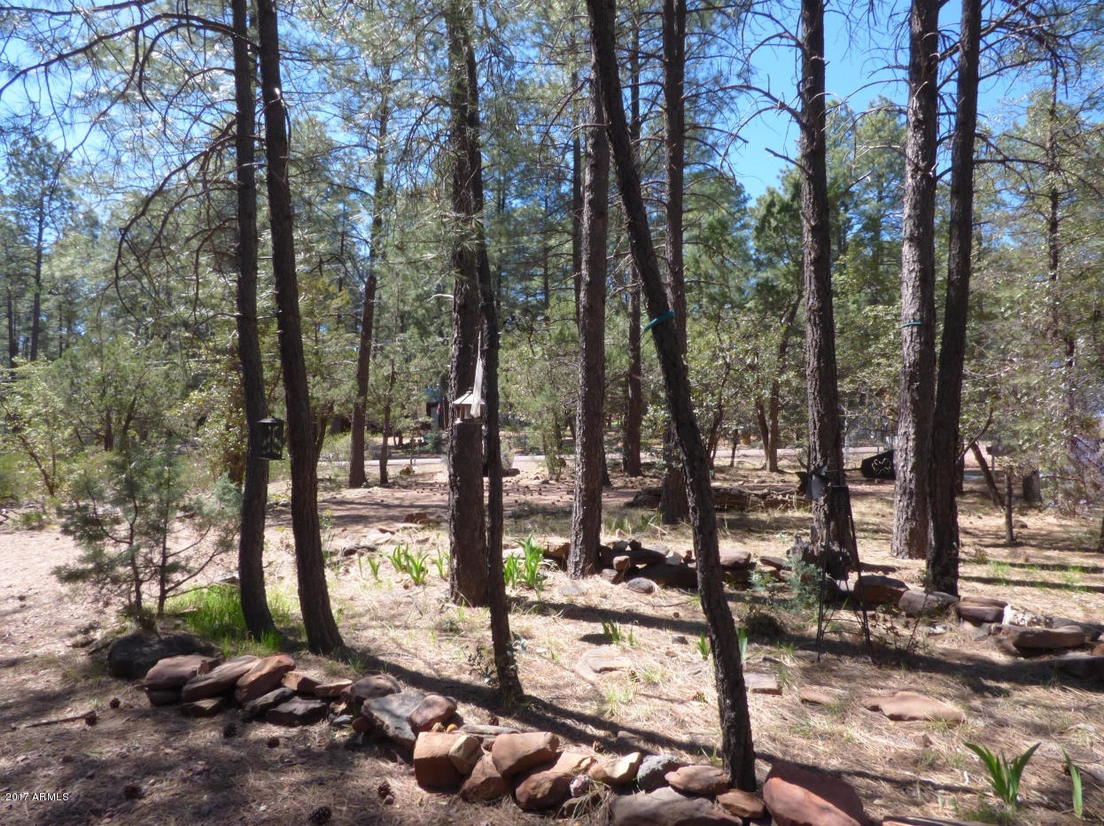 5347 Rim Wood Road Strawberry, AZ 85544 - Photo 14 of 16 Front yard