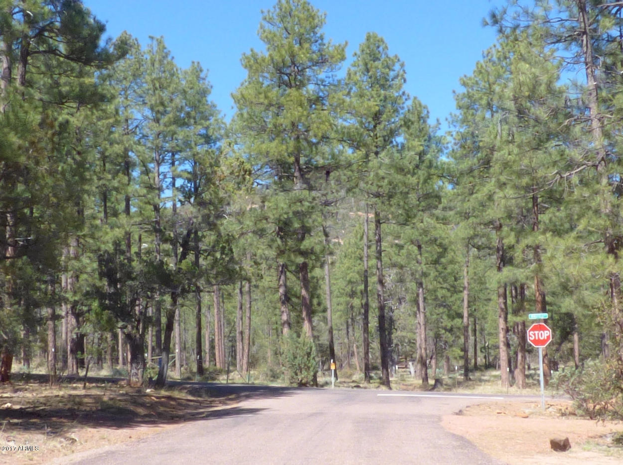 5347 Rim Wood Road Strawberry, AZ 85544 - Photo 16 of 16 National Forest