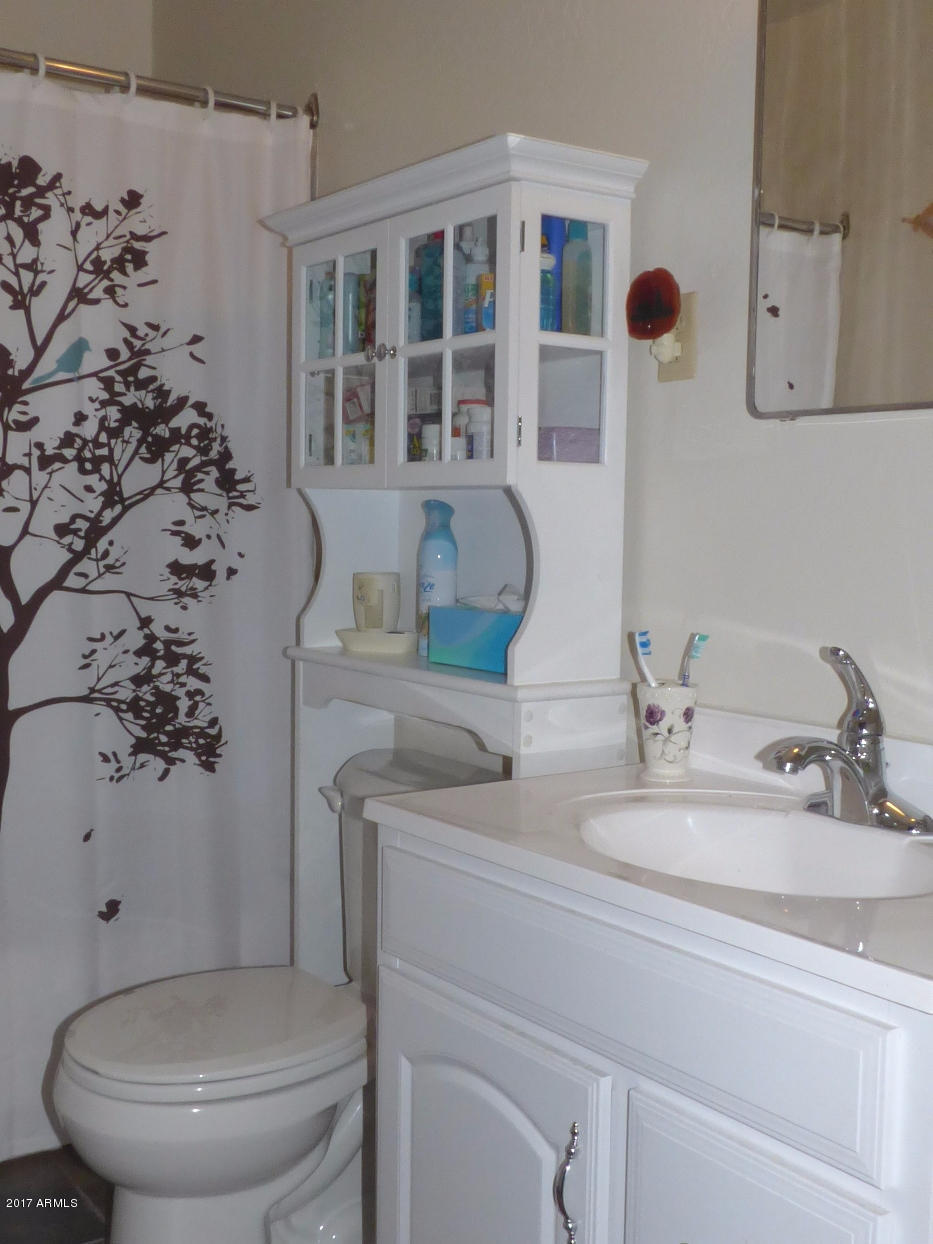 5347 Rim Wood Road Strawberry, AZ 85544 - Photo 8 of 16 Bathroom