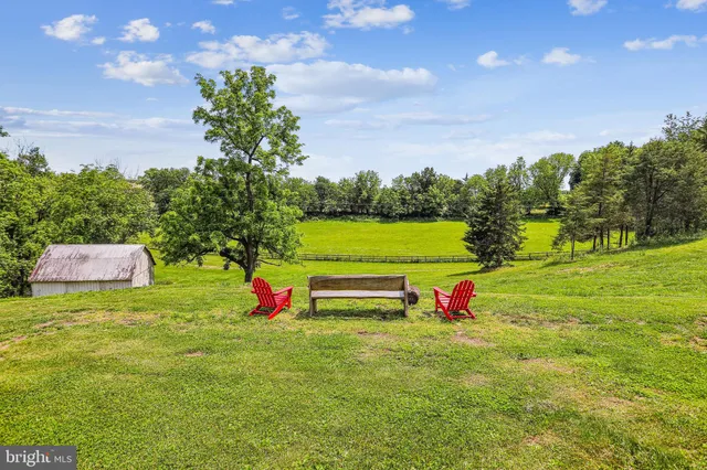 a green field with lots of trees in the background