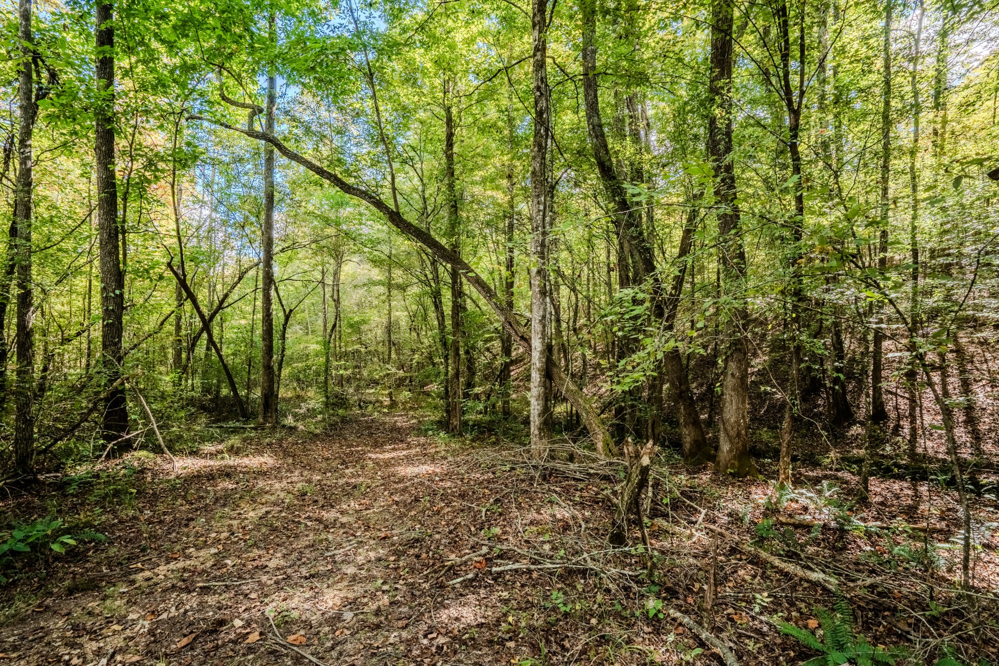 0 South Randall Road Westpoint, TN 38486 - Photo 55 of 79