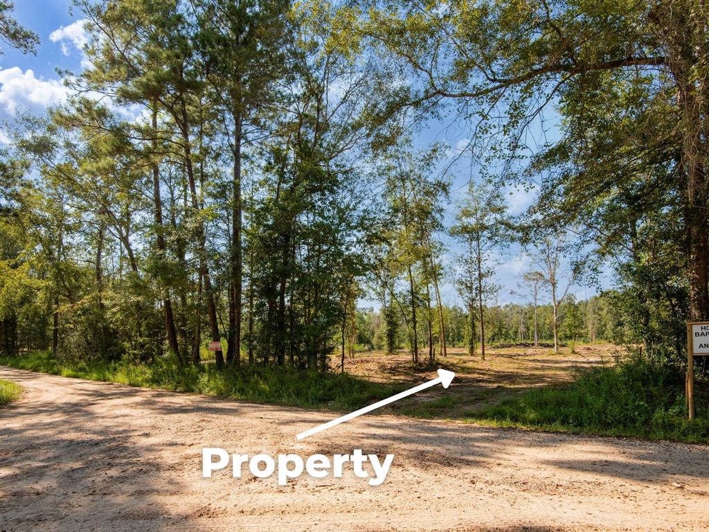 152 Maze Road Livingston, TX 77351 - Photo 12 of 22 a view of a yard with plants and trees