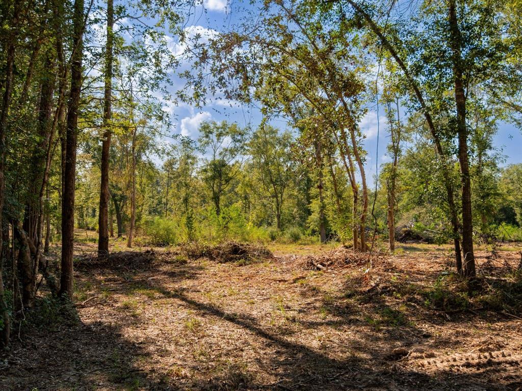 152 Maze Road Livingston, TX 77351 - Photo 13 of 22 a view of backyard with outdoor space