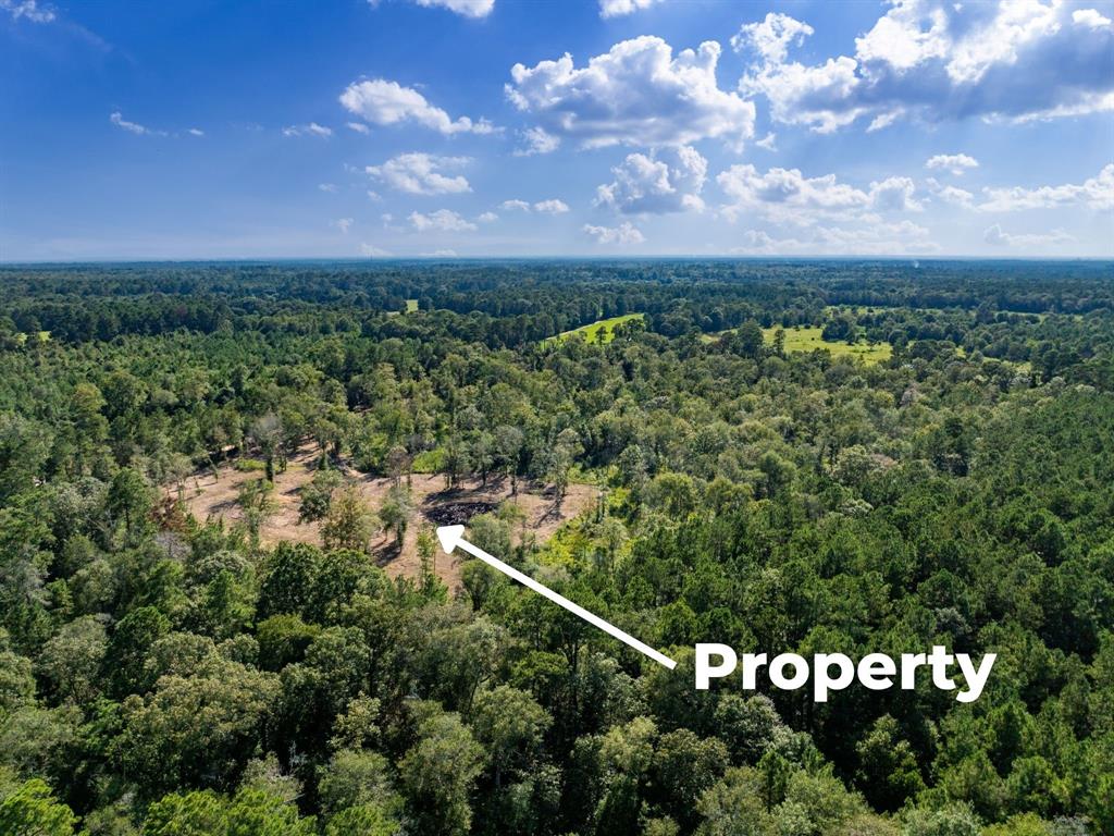 152 Maze Road Livingston, TX 77351 - Photo 16 of 22 a view of a city