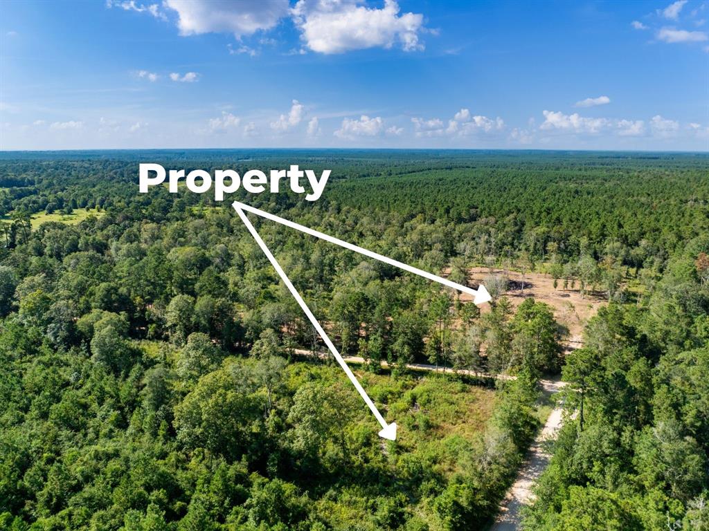 152 Maze Road Livingston, TX 77351 - Photo 17 of 22 a view of a tennis court