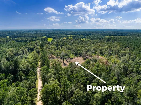 a view of swimming pool and a yard