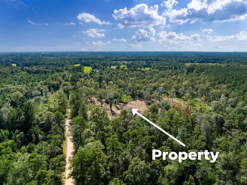 152 Maze Road Livingston, TX 77351 - Photo 18 of 22 an aerial view of a city