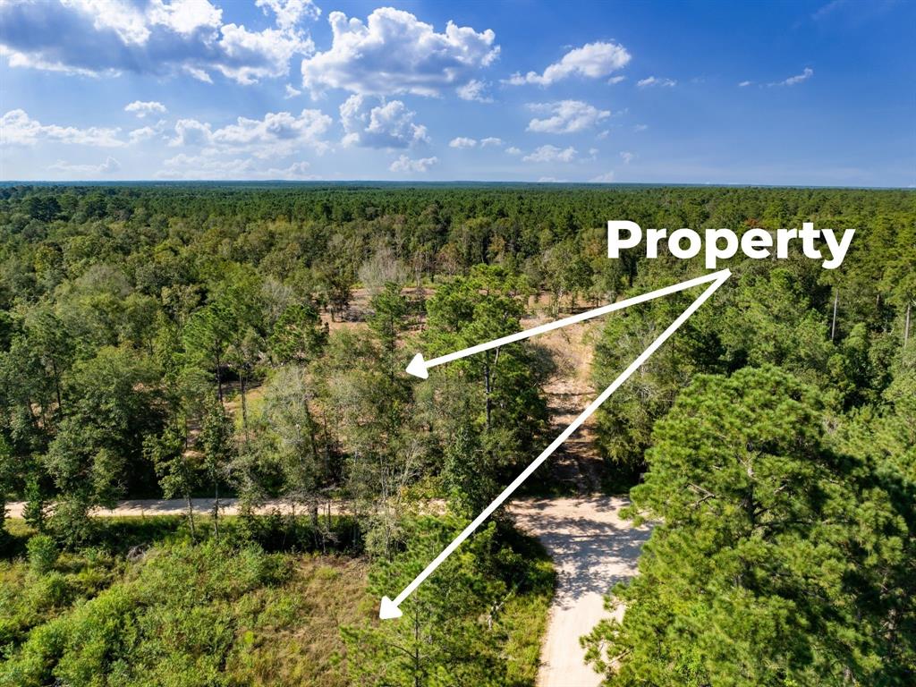 152 Maze Road Livingston, TX 77351 - Photo 19 of 22 a view of swimming pool and a yard