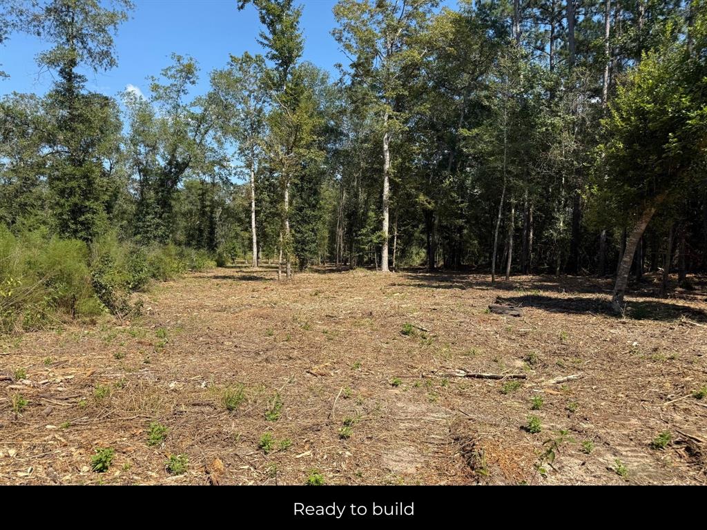 152 Maze Road Livingston, TX 77351 - Photo 20 of 22 a view of outdoor space with trees