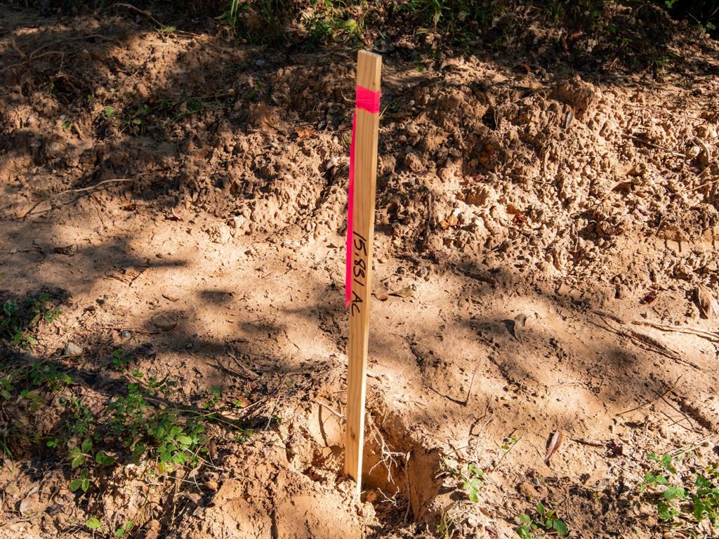 152 Maze Road Livingston, TX 77351 - Photo 21 of 22 a street sign on a pole