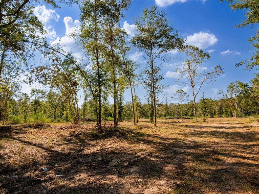 152 Maze Road Livingston, TX 77351 - Photo 3 of 22 a view of road with large trees