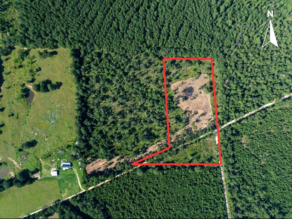 152 Maze Road Livingston, TX 77351 - Photo 6 of 22