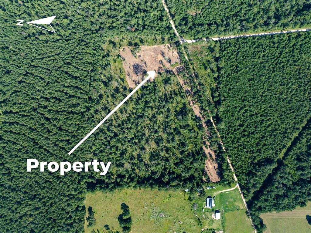 152 Maze Road Livingston, TX 77351 - Photo 8 of 22 a view of a back yard of the house and green space