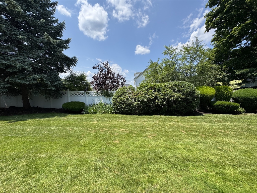 81 Brettwood Road Belmont, MA 02478 - Photo 34 of 35