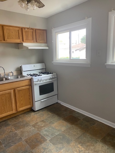 809 Vine Street Joliet, IL 60435 - Photo 4 of 8 a kitchen with a stove a sink and a window