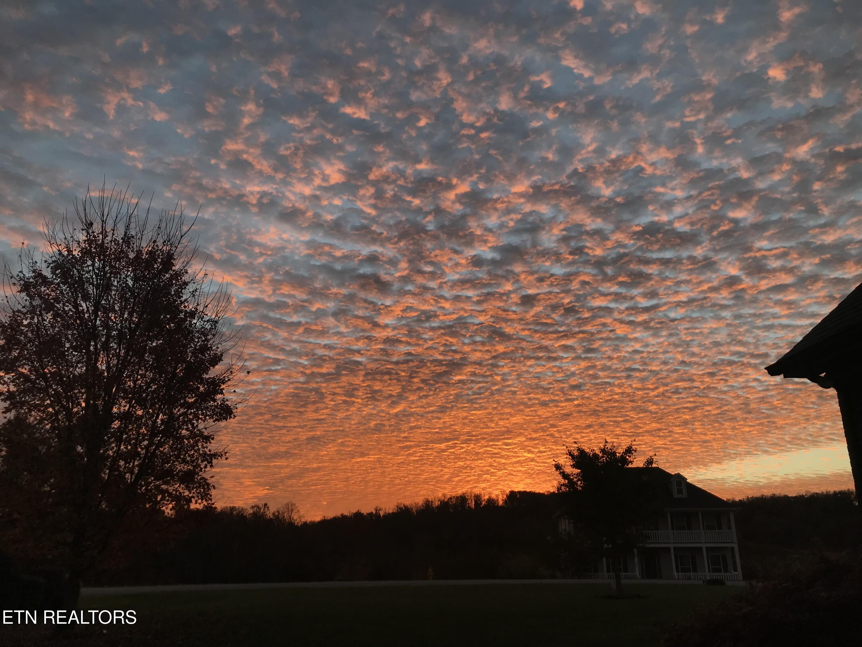 1501 New Hope Road Rockwood, TN 37854 - Photo 5 of 27 sunrise (2)
