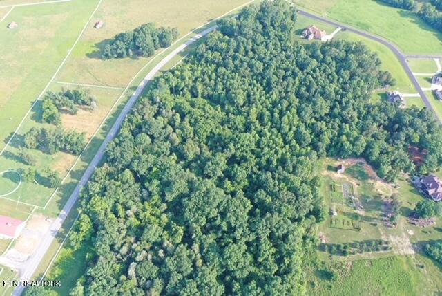 1501 New Hope Road Rockwood, TN 37854 - Photo 7 of 27 B3220FACD5D113CD060B6EC7AE00E0D3