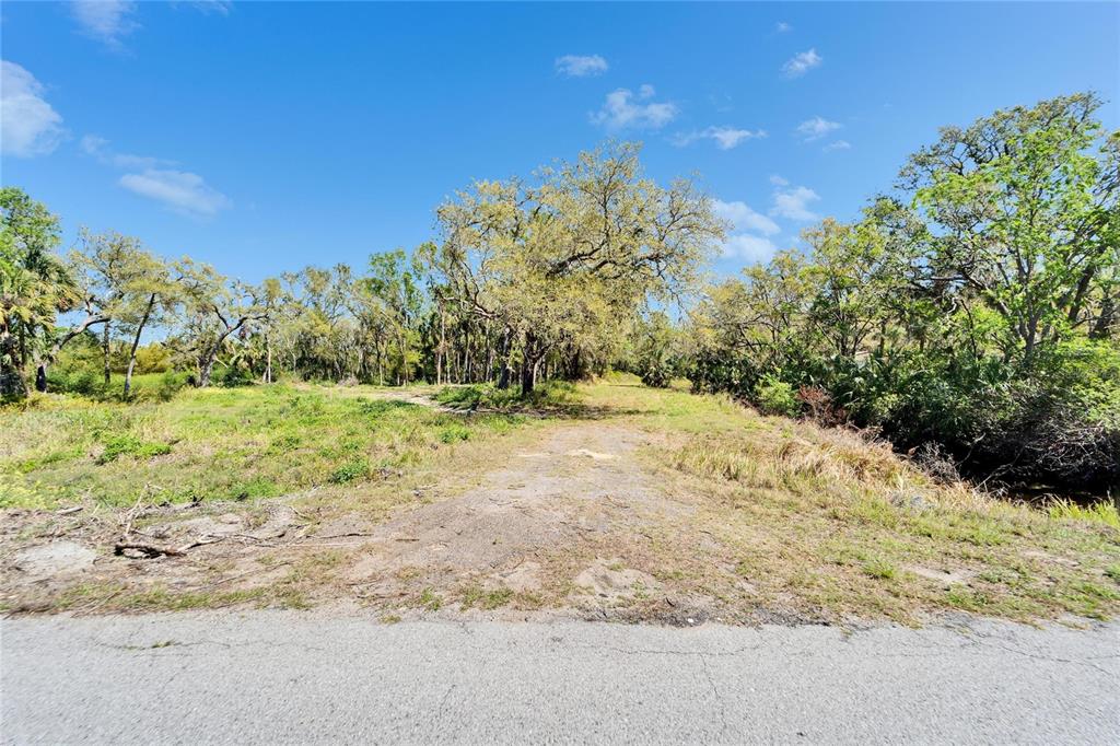 3106 Timberlee Road Wimauma, FL 33598 - Photo 1 of 1 a view of outdoor space with trees all around