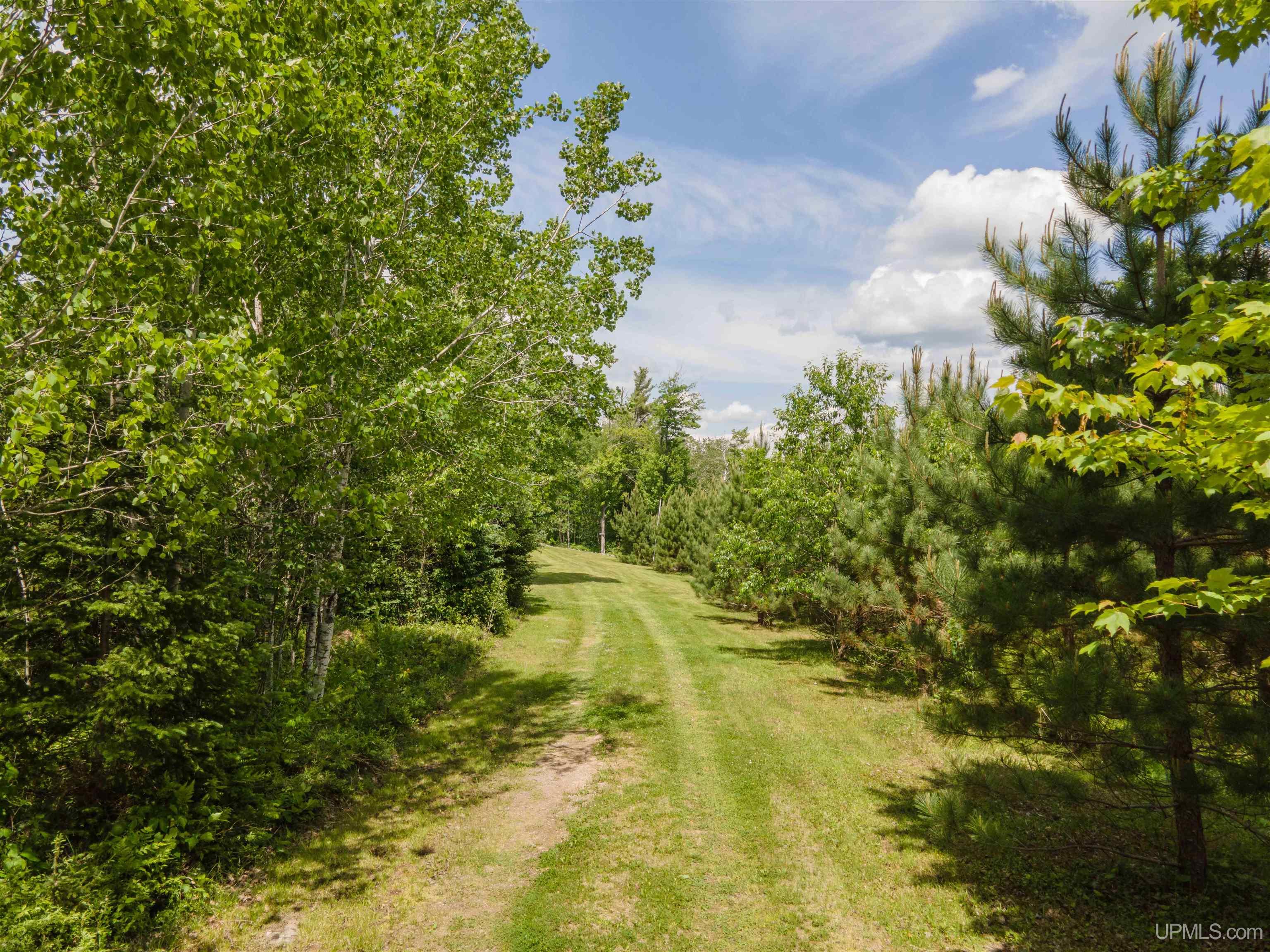 453 Gold Mine Road Iron River, MI 49935 - Photo 16 of 26