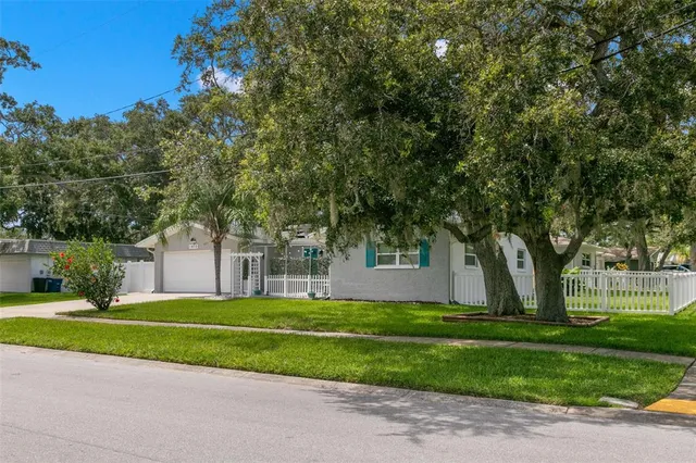 a view of a park with large trees