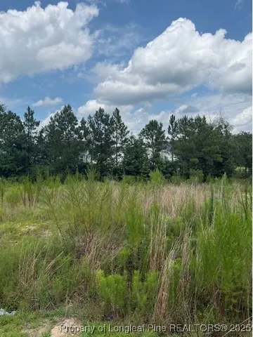 a view of lake with green space