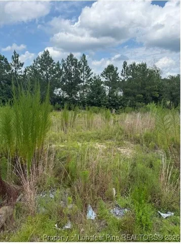 a view of lake with green space