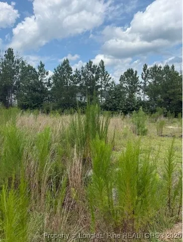 a view of lake with green space