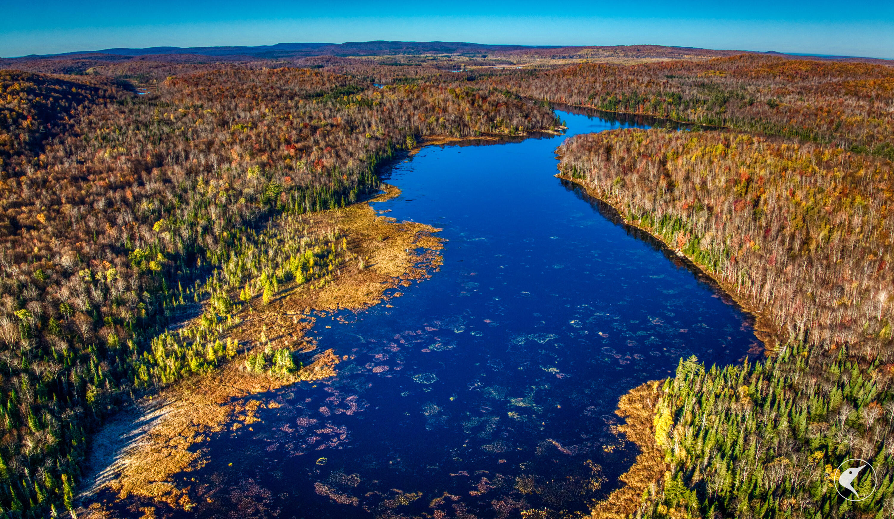 4891 State Rte 3 Newton Falls, NY 13666 - Photo 9 of 41 DJI_20241018092037_0046_D