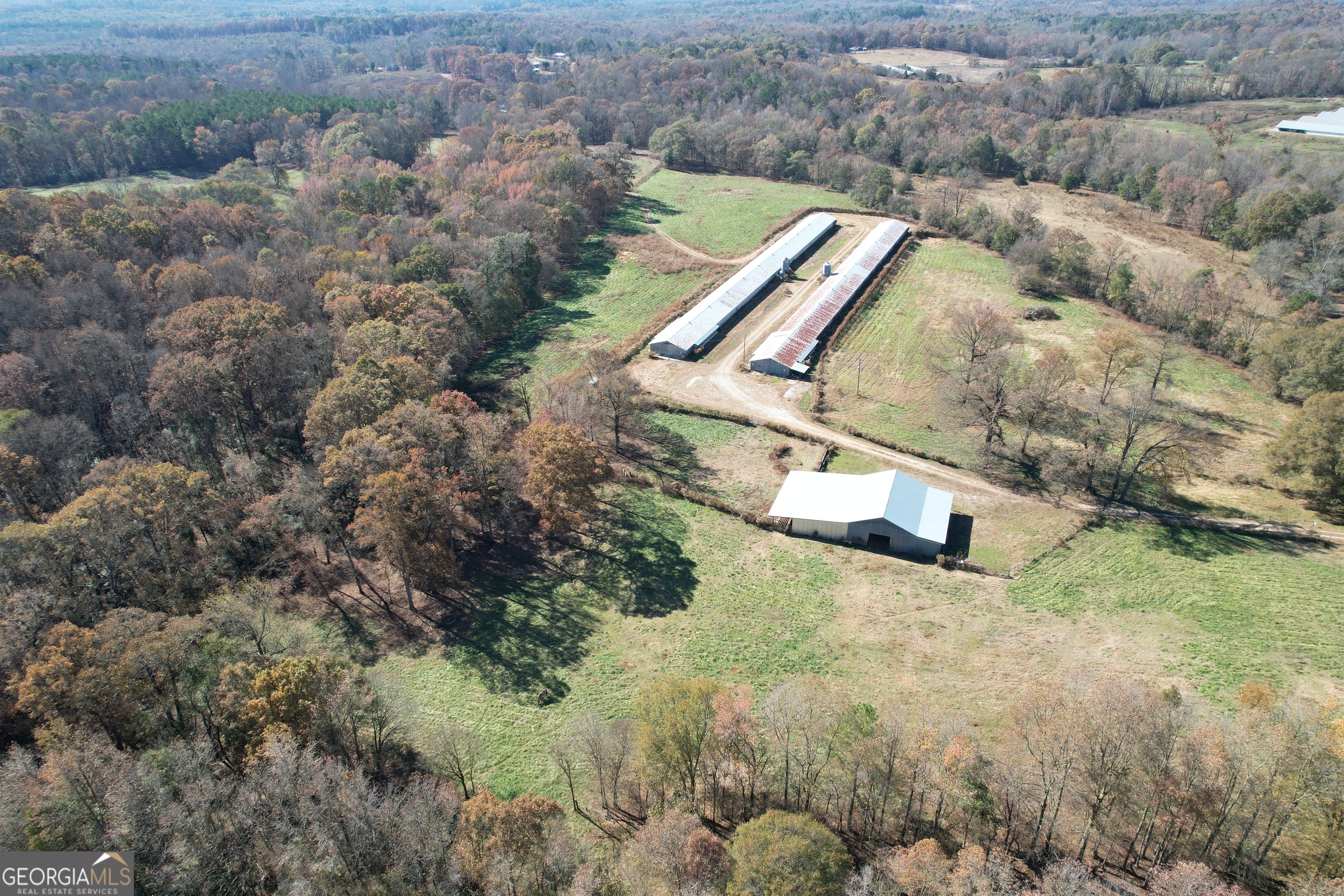 20118 Highway 441 Commerce, GA 30529 - Photo 2 of 10 a view of a yard with an outdoor space