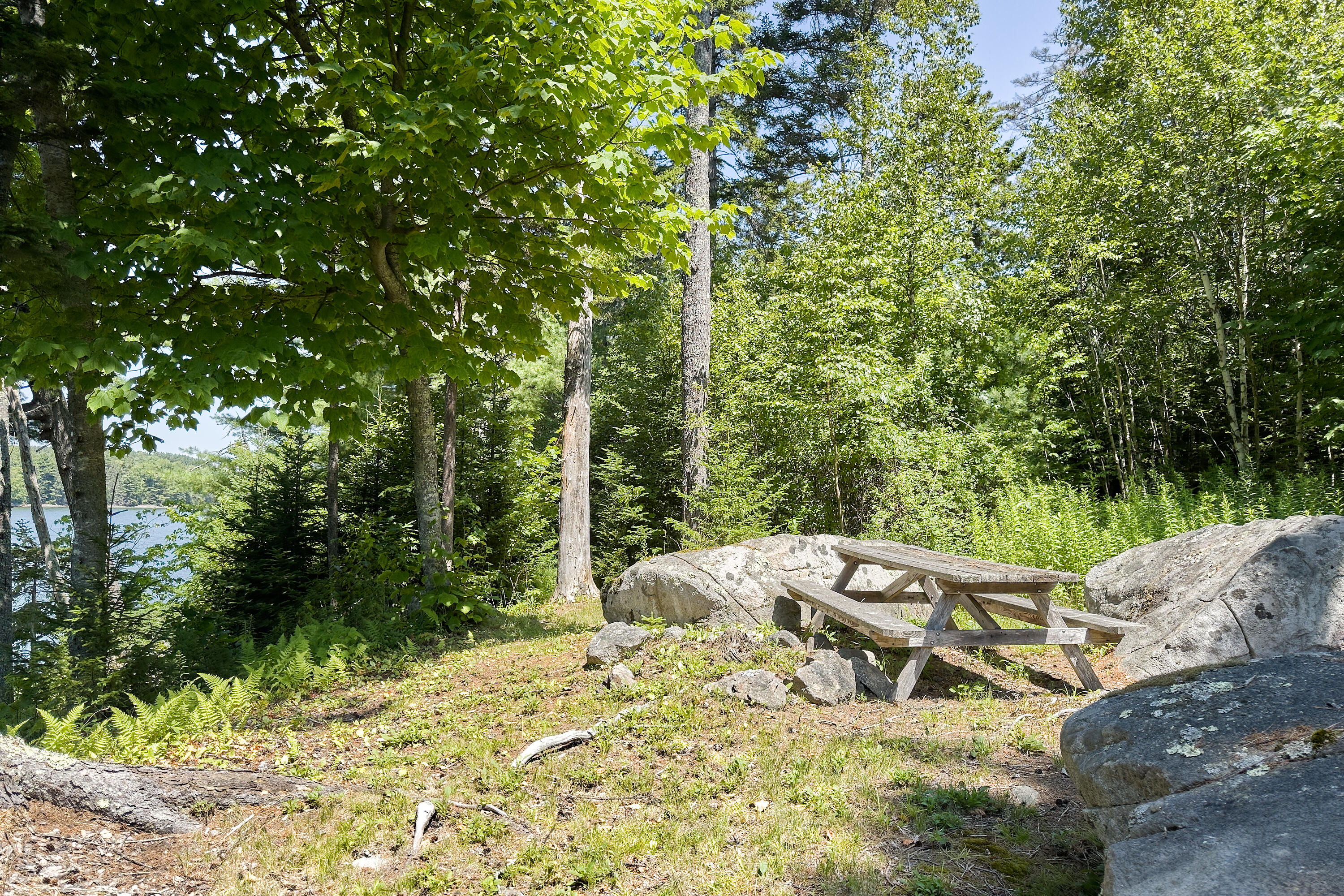 32 Ocean Ridge Road Cushing, ME 04563 - Photo 43 of 58 Waterside picnic area