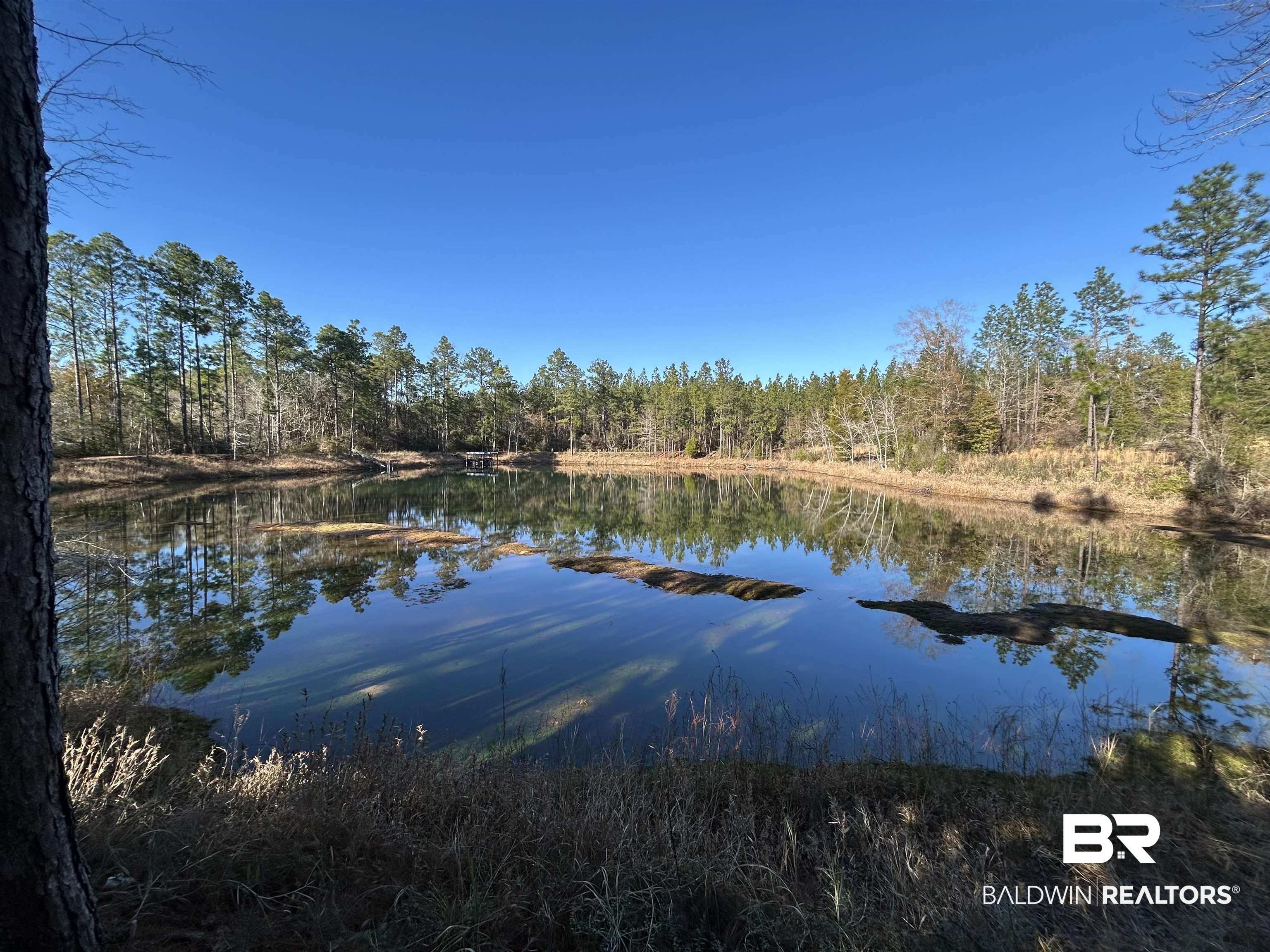 9550 A Sand Ridge Road Citronelle, AL 36522 - Photo 11 of 16 View of water feature